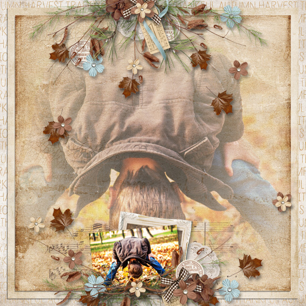 Deep in the forest {full kit} – Image 6