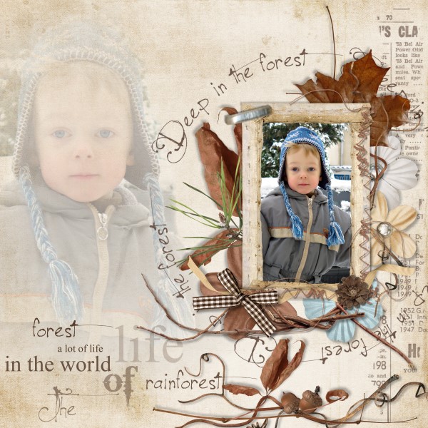 Deep in the forest {full kit} – Image 9