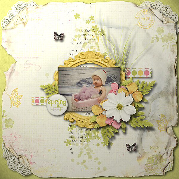 Primavera {worn papers} – Image 4