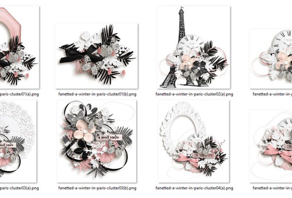 A winter in Paris {embellishments}