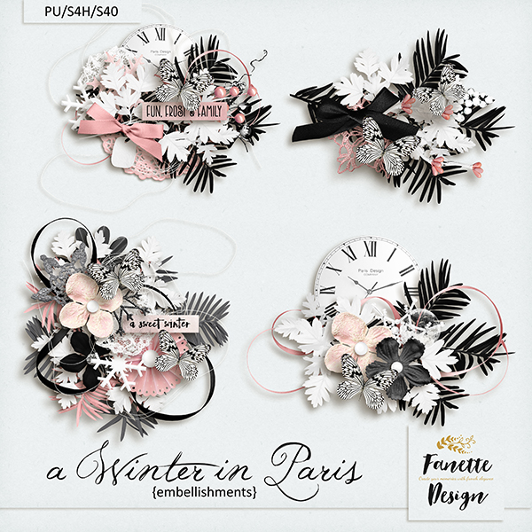 A winter in Paris {embellishments}